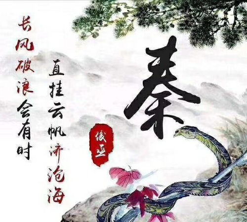  十二生肖主题头像多种风格任你挑选,保证你的头像独一无二