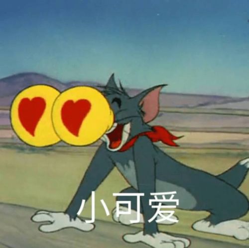 猫和老鼠弹吉他表情包
