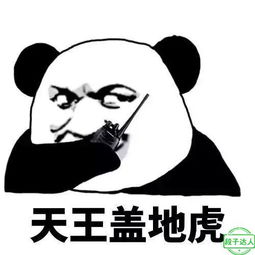  roboo段子随时随地分享你身边的幽默搞笑段子roboorooboroobooroborubao