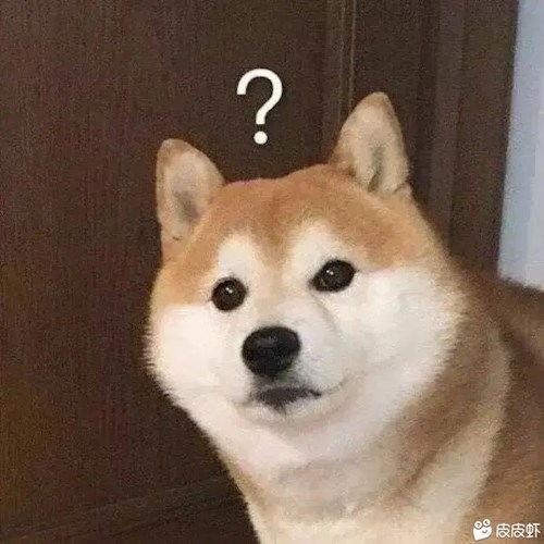  留下发财留下发财
