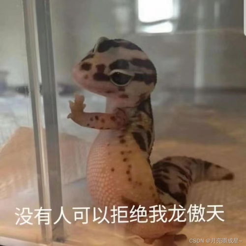  初识c语言系列5完结篇define,指针,结构体