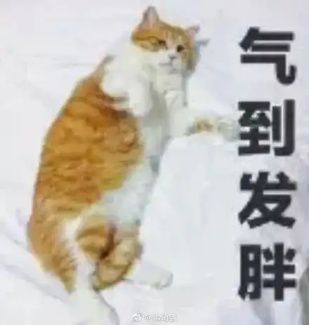 猫的表情包男生专用假期