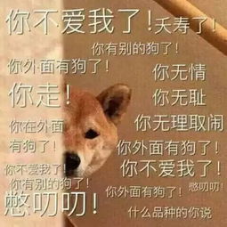  世界上最大的未解之谜女朋友为什么会生气