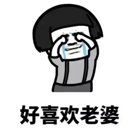 说的对的表情包老婆