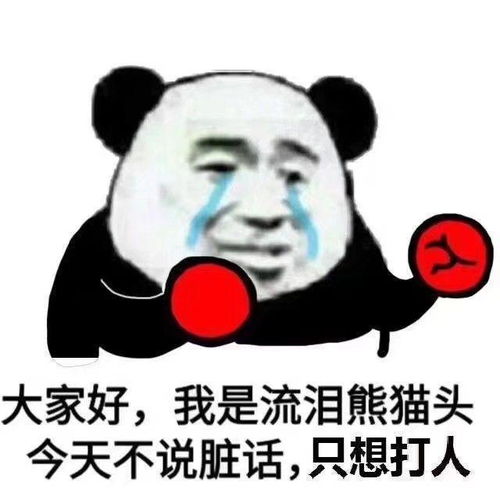 起飞表情包熊猫