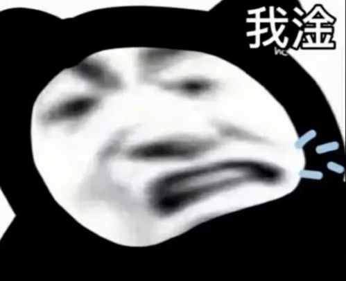  搞笑表情包来啦