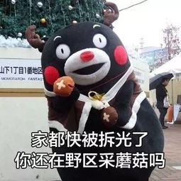  渭南加快通信基础设施建设拼手速更要拼网速