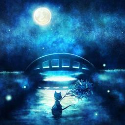  黑夜里的小被窝