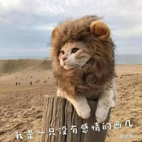  有个舍友,只要有地方令他不满或者有轻微打扰到他,他不沟通解决而会过两天加倍报复回来,什么心理