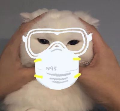  超多口罩头像,请自行领取