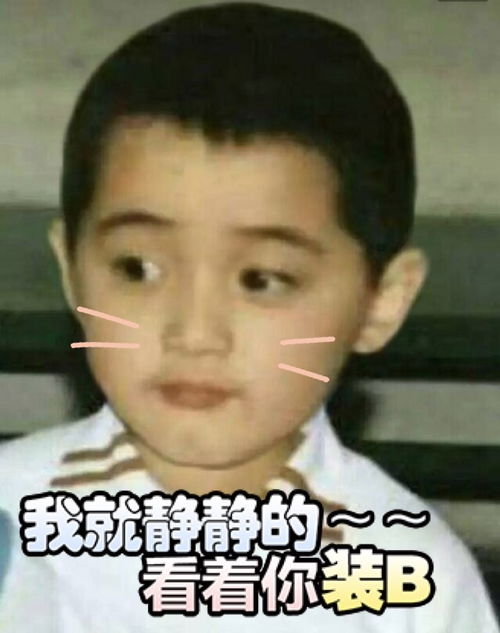 长得美怪我咯表情包胡歌