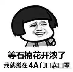  送你两把石楠花表情包石楠花系列表情包下载乐游网游戏下载