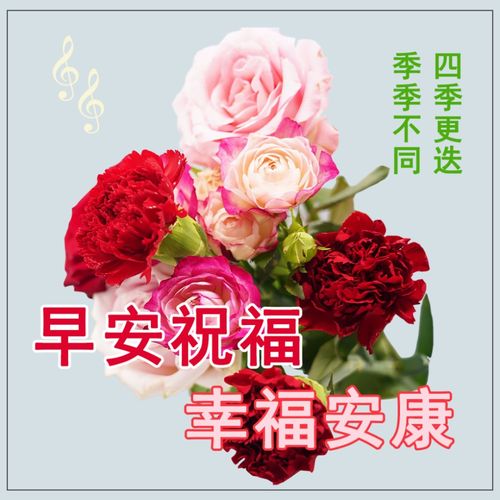  创意好看的冬日清晨早上好祝福图片带字温馨,唯美早安问候语加动态图片