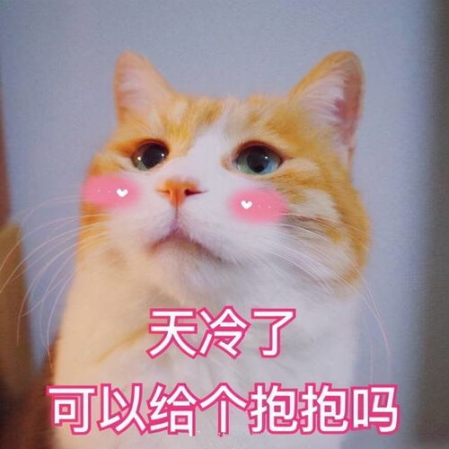  搞笑表情包小师妹的个人展示页