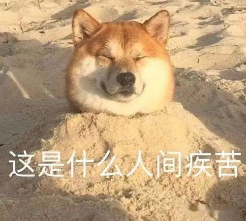 防不胜防啊表情包沙雕