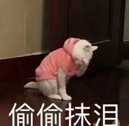  申请退货男友游戏打的太菜,连残血都抓不死还闪现撞墙