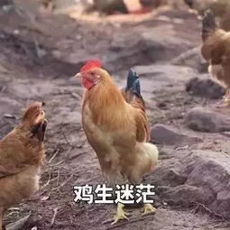  听老师讲数学题,就像看没有字幕的美剧那些年,发生在数学课上的惨案