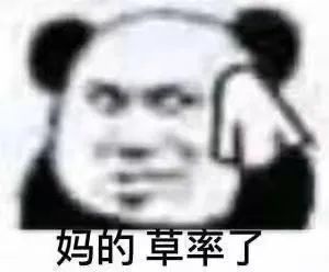  沙雕表情包做猪呢主要是开心