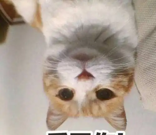  每日一笑我没算错的话,你今天身上应该没有带钱