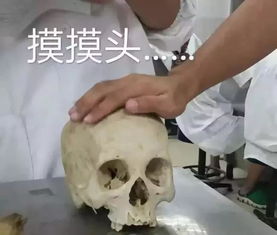  高考的朋友,志愿填的怎么样了