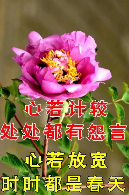  早上好表情包,清晨的第一声问候,祝大家身体健康一生平安