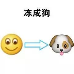  伊川供暖第二天,你家热乎了没遇到问题,赶紧戳这里