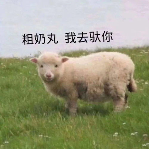  青传微信编辑复赛忽而今夏,不是离别,而是更好地相遇