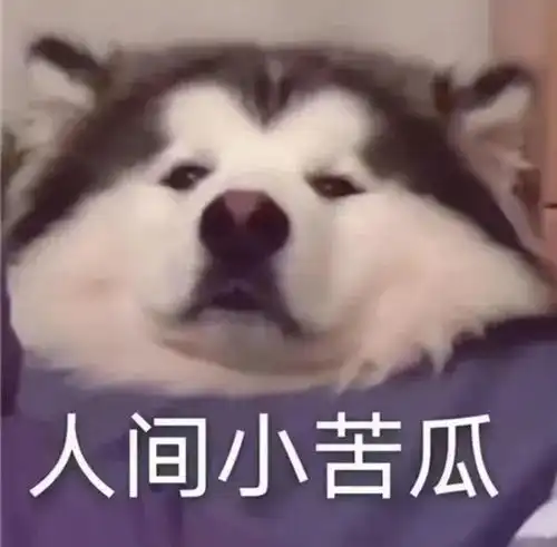  不要在晚上打,不然巅峰赛连跪,排位也连跪,会很破大防
