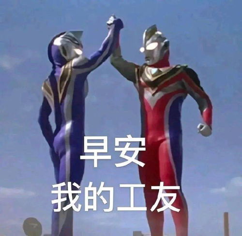  待会删速看