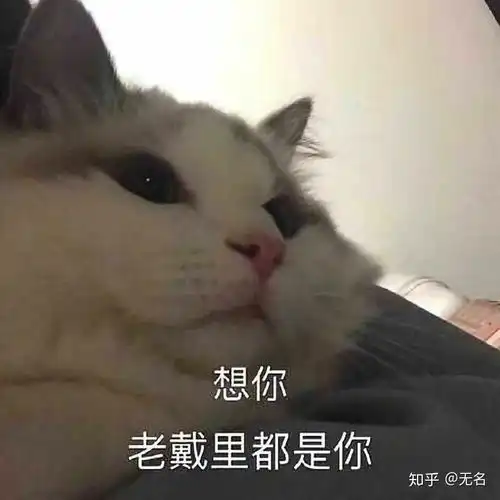 谢谢表情包可爱萌图今晚