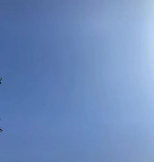  表情包今天最火热图,抖音表情包背景图