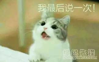  小猫咪叫老婆qq表情包小猫咪叫老婆表情素材v1.0正式版软件下载