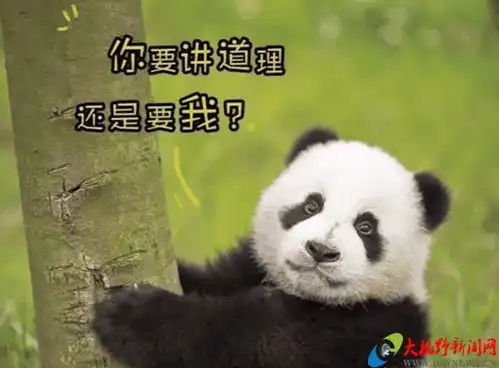  大熊猫的黑色和白色颠倒会怎样网友毁三观,赶紧给我变回来