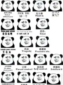  请问你们有金馆长熊猫表情包和猥琐猫吗有的话能给我发吗谢谢