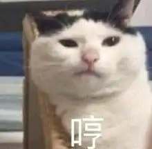  狸花冒充狸白四个月未被发现,真公主还是假千金替身猫麻麻,你在说什么人家听不懂