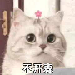  最近很火的小狗穿裙子,小猫头上带花表情包