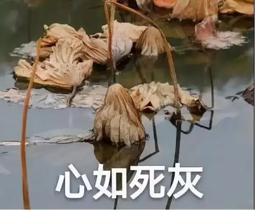  剑网3pve难度大幅降低让pvp党不满人与人的悲欢果然不能共通