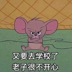  想去学校但不想开学别做梦啦还是来点儿实在的吧