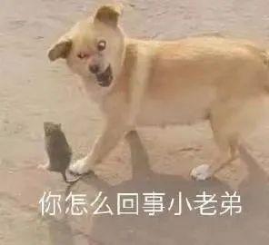  原想让华南暴雨挪下窝它却让山东下崩了之后暴雨将去哪儿