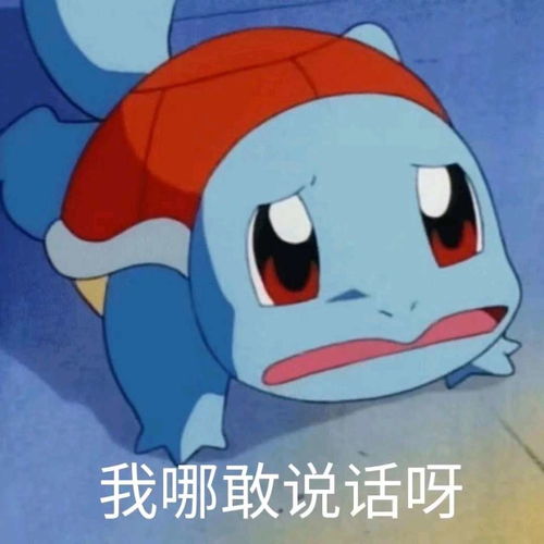 我tm直接系列表情包杰尼
