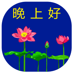  群发晚上好问候动画表情包,睡前晚安问候祝福图片带字