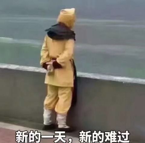  因染发被停播的国产动画,会让我们的未来变得更好吗