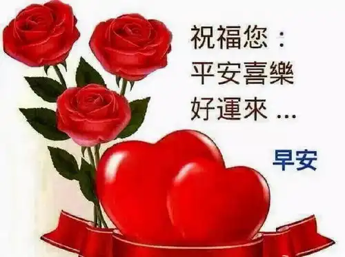  命运的每一次馈赠都在暗中标好了价码你付出了多少才能得到多少生命