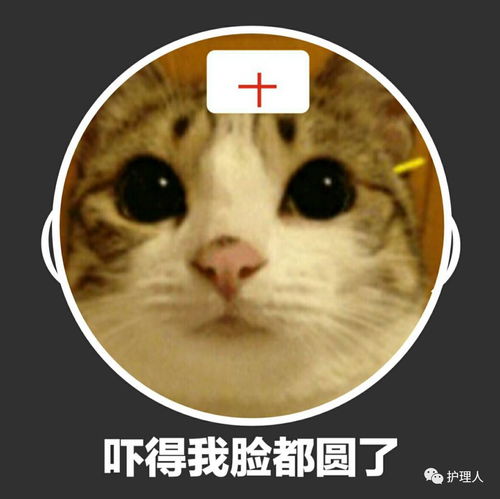  七夕护士专属表情包完美来袭快来存图吧