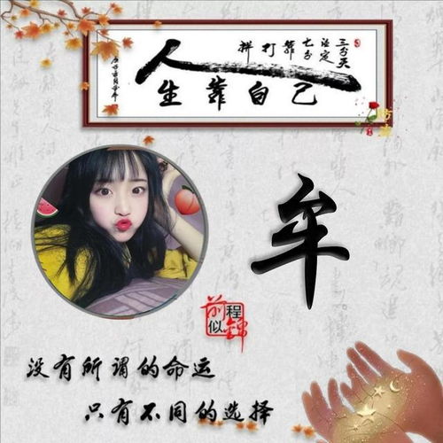  百家姓氏头像没有所谓的命运只有不同的选择276期