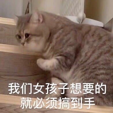  我的手机壳子们超好看独特不撞款的13款手机壳分享文末超多抽奖呀