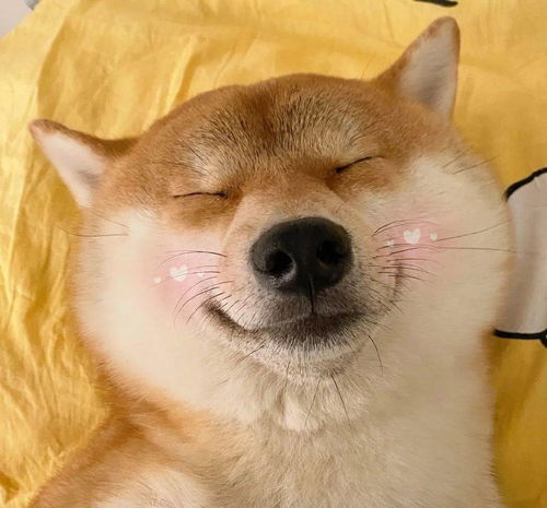  微信头像百看不厌