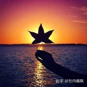  论文发表的几个几本结构