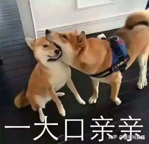 养鸡表情包高清狗狗