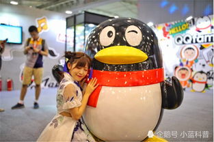  为什么很多初中生偏爱用qq,而不是微信说出的原因太真实了